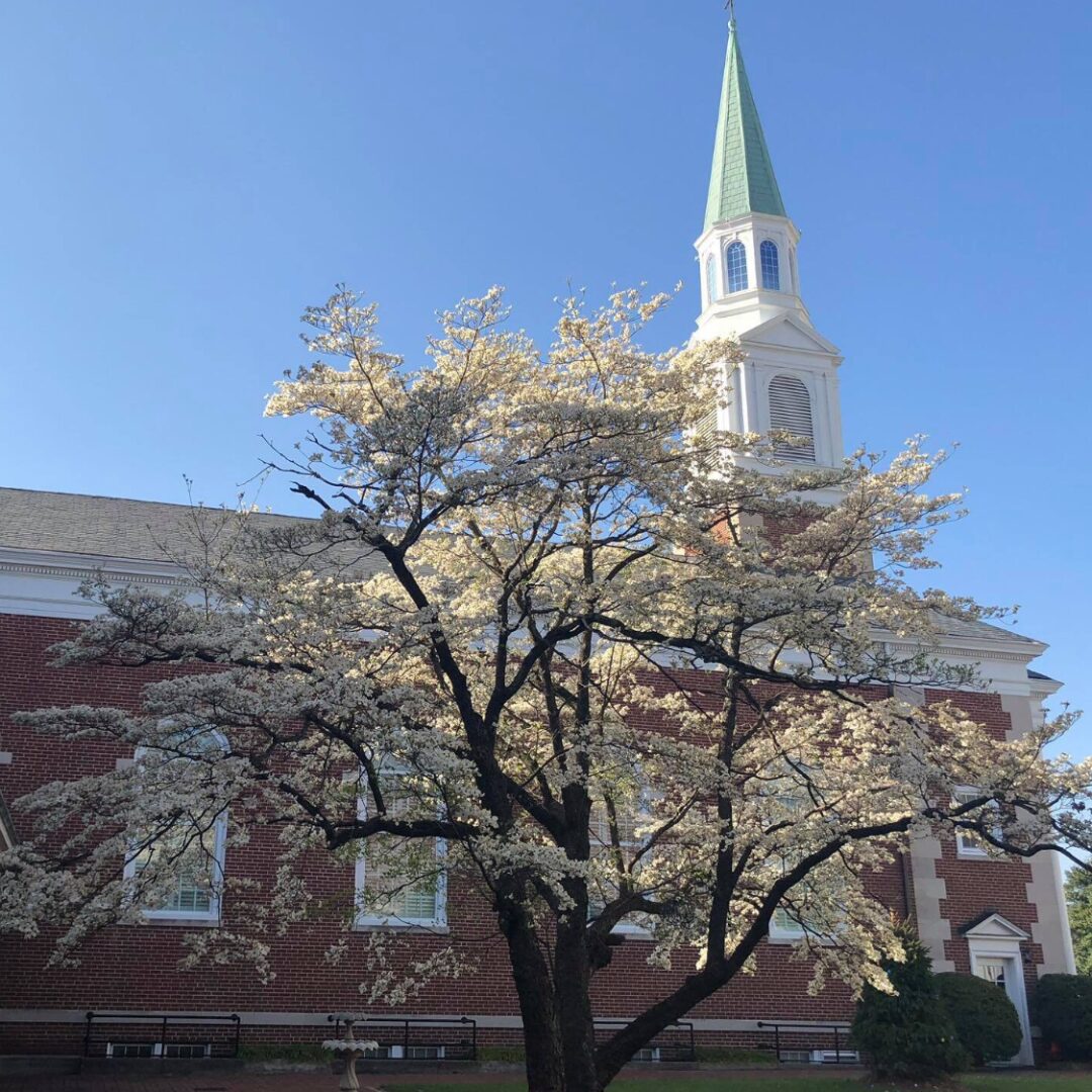 Apply Now! Lead Pastor || First Baptist Church: High Point, NC